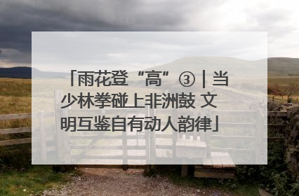 雨花登“高”③｜当少林拳碰上非洲鼓 文明互鉴自有动人韵律