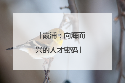 霞浦：向海而兴的人才密码