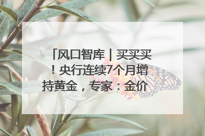 风口智库｜买买买！央行连续7个月增持黄金，专家：金价或仍易涨难跌