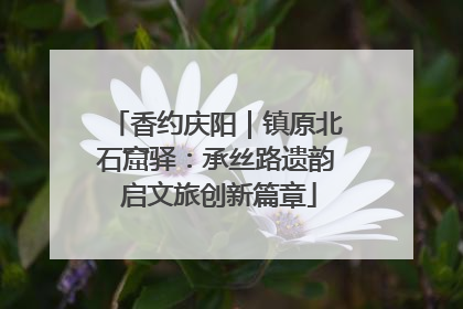 香约庆阳｜镇原北石窟驿：承丝路遗韵 启文旅创新篇章