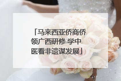 马来西亚侨商侨领广西研修 学中医看非遗谋发展