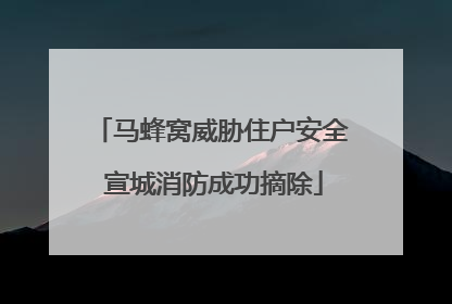 马蜂窝威胁住户安全 宣城消防成功摘除