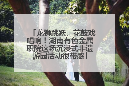 龙狮跳跃、花鼓戏唱响！湖南有色金属职院这场沉浸式非遗游园活动很带感