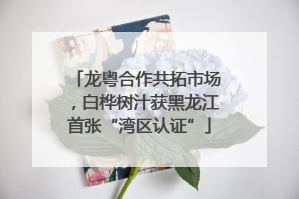 龙粤合作共拓市场，白桦树汁获黑龙江首张“湾区认证”