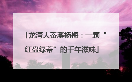 龙湾大岙溪杨梅：一颗“红盘绿蒂”的千年滋味