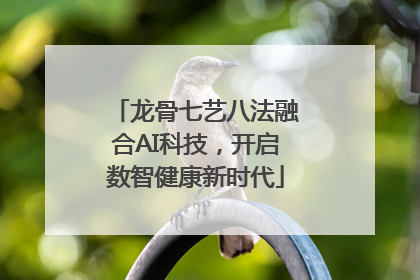 龙骨七艺八法融合AI科技，开启数智健康新时代