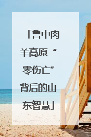 鲁中肉羊高原“零伤亡”背后的山东智慧