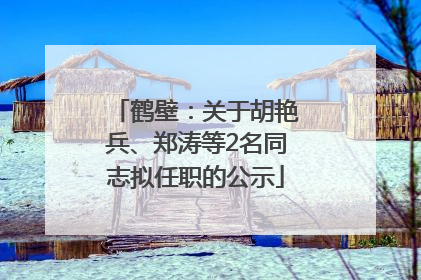 鹤壁：关于胡艳兵、郑涛等2名同志拟任职的公示