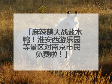麻辣鹅大战盐水鸭！淮安西游乐园等景区对南京市民免费啦！