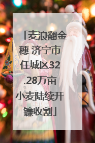 麦浪翻金穗 济宁市任城区32.28万亩小麦陆续开镰收割