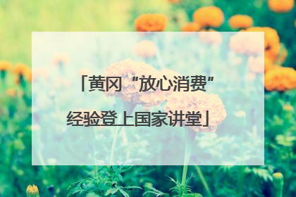 黄冈“放心消费”经验登上国家讲堂