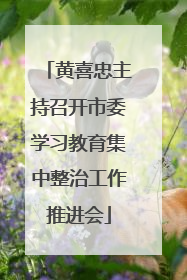 黄喜忠主持召开市委学习教育集中整治工作推进会