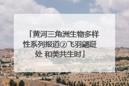 黄河三角洲生物多样性系列报道②飞羽翩跹处 和美共生时