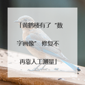 黄鹤楼有了“数字画像” 修复不再靠人工测量