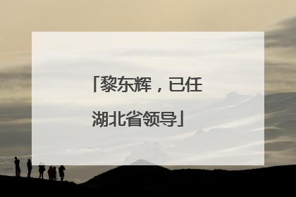 黎东辉，已任湖北省领导