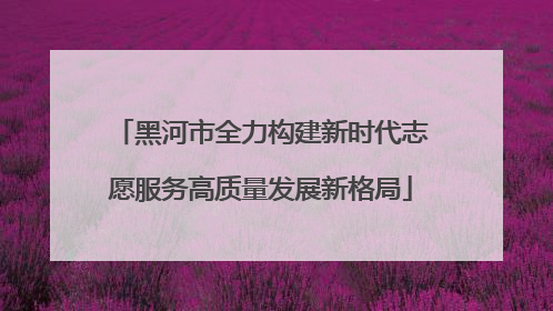 黑河市全力构建新时代志愿服务高质量发展新格局