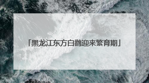 黑龙江东方白鹳迎来繁育期