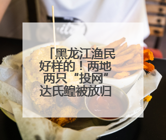 黑龙江渔民好样的！两地两只“投网”达氏鳇被放归大江