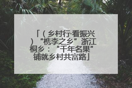 （乡村行·看振兴）“槜李之乡”浙江桐乡：“千年名果”铺就乡村共富路