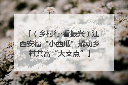 （乡村行·看振兴）江西安福“小西瓜”撬动乡村共富“大支点”