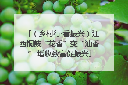 （乡村行·看振兴）江西铜鼓“花香”变“油香” 增收致富促振兴