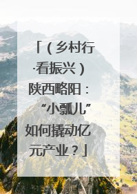 （乡村行·看振兴）陕西略阳：“小瓢儿”如何撬动亿元产业？