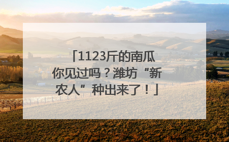 1123斤的南瓜你见过吗？潍坊“新农人”种出来了！