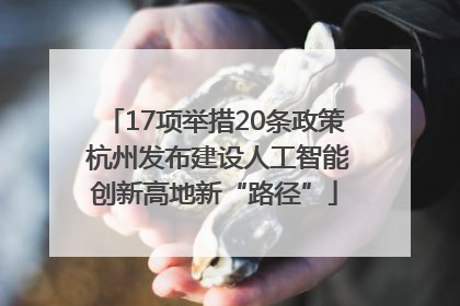 17项举措20条政策 杭州发布建设人工智能创新高地新“路径”