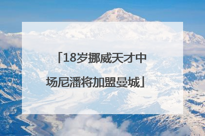 18岁挪威天才中场尼潘将加盟曼城