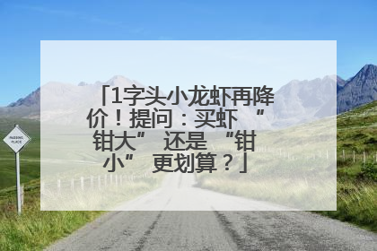 1字头小龙虾再降价！提问：买虾 “钳大” 还是 “钳小” 更划算？