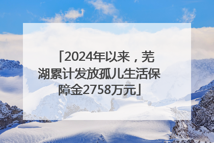 2024年以来，芜湖累计发放孤儿生活保障金2758万元