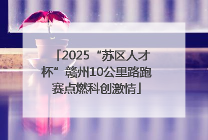 2025“苏区人才杯”赣州10公里路跑赛点燃科创激情