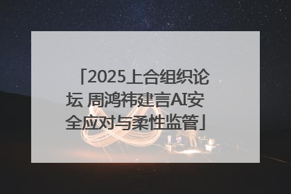 2025上合组织论坛 周鸿祎建言AI安全应对与柔性监管