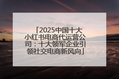 2025中国十大小红书电商代运营公司：十大领军企业引领社交电商新风向