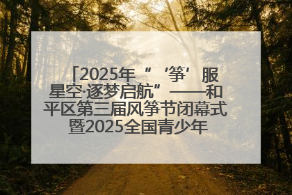 2025年“‘筝’服星空·逐梦启航”——和平区第三届风筝节闭幕式 暨2025全国青少年风筝制作放飞赛（沈阳站）颁奖仪式