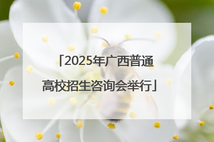 2025年广西普通高校招生咨询会举行