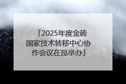 2025年度金砖国家技术转移中心协作会议在昆举办
