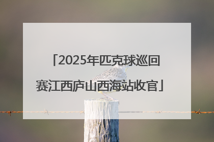 2025年匹克球巡回赛江西庐山西海站收官