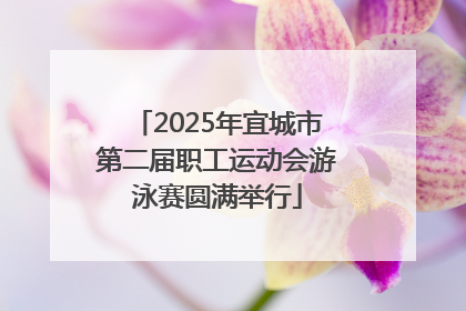 2025年宜城市第二届职工运动会游泳赛圆满举行