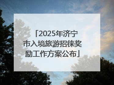 2025年济宁市入境旅游招徕奖励工作方案公布