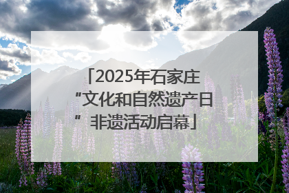 2025年石家庄“文化和自然遗产日”非遗活动启幕