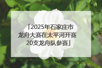 2025年石家庄市龙舟大赛在太平河开赛 20支龙舟队参赛