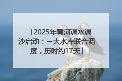 2025年黄河调水调沙启动：三大水库联合调度，历时约17天