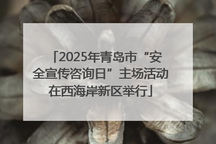 2025年青岛市“安全宣传咨询日”主场活动在西海岸新区举行