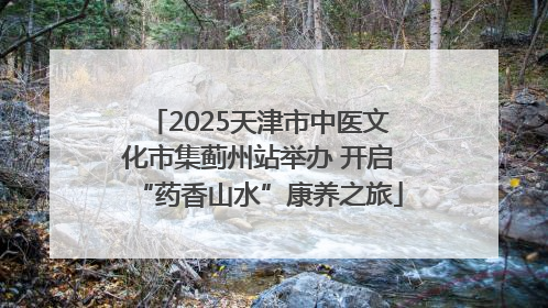 2025天津市中医文化市集蓟州站举办 开启“药香山水”康养之旅
