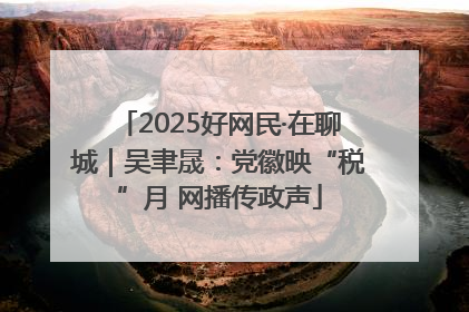 2025好网民·在聊城｜吴聿晟：党徽映“税”月 网播传政声
