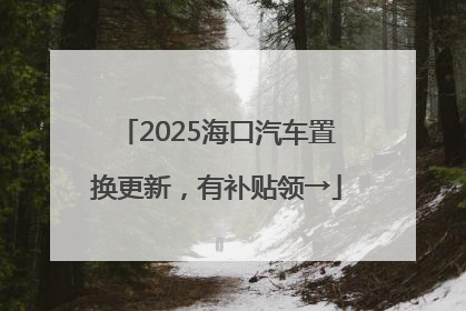 2025海口汽车置换更新，有补贴领→
