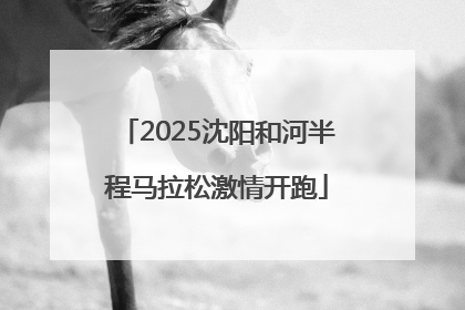 2025沈阳和河半程马拉松激情开跑