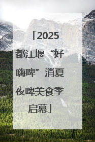 2025都江堰“好嗨啤”消夏夜啤美食季启幕