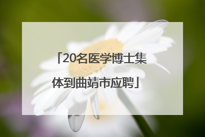 20名医学博士集体到曲靖市应聘